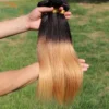 Luxury Brazilian Honey Blonde #27 Ombre Silky Straight Virgin Hair Extensions