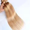 Luxury Straight Brazilian Blonde Piano #27/613 Highlight Human Hair Extensions