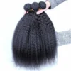 Luxury Kinky Straight Malaysian Virgin Human Hair Extensions 7A Weave Weft