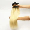 Luxury Dark Roots Peruvian Bleach Blonde #613 Straight Virgin Hair Extensions