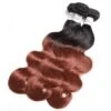 Luxury Peruvian #1b/33 Dark Auburn Ombre Body Wave Human Hair Extensions 10A