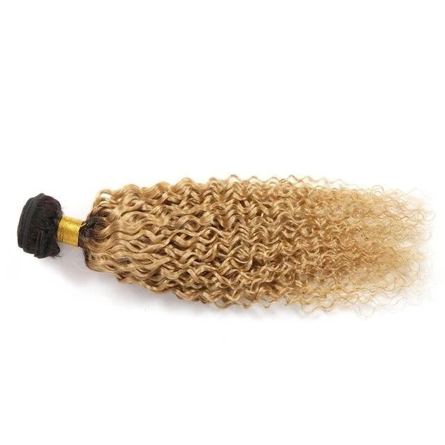 Luxury Dark Roots Peruvian Honey Blonde #27 Kinky Curly Virgin Hair Extensions - Image 4